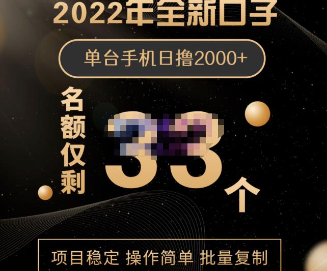 2022年全新口子，手机批量搬砖玩法，一部手机日撸2000+-小白网创资源网