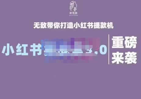 谢无敌·小红书实战营3.0，无敌带你打造小红书提款机 价值7999元-小白网创资源网