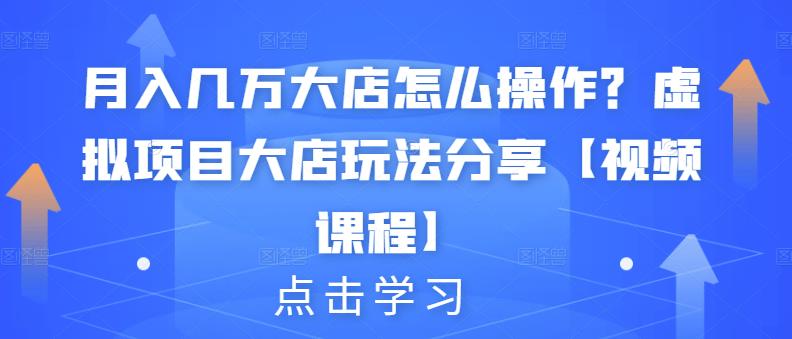 月入几万大店怎么操作？虚拟项目大店玩法分享【视频课程】-小白网创资源网