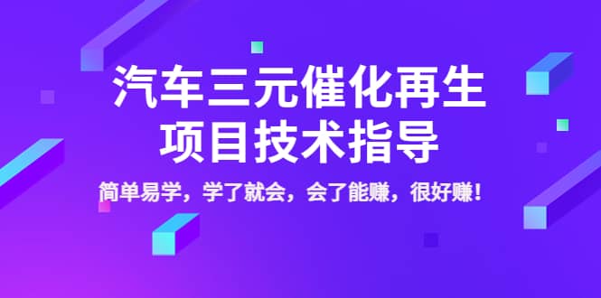 汽车三元催化再生项目技术指导，简单易学，学了就会，会了能赚，很好赚！-小白网创资源网