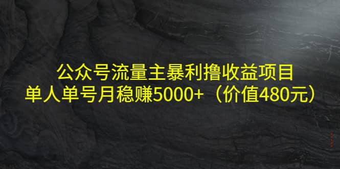 公众号流量主暴利撸收益项目，单人单号月稳赚5000+（价值480元）-小白网创资源网
