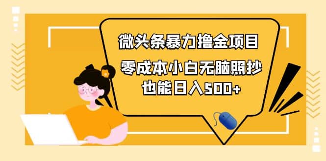 人人都能操作的微头条最新暴力撸金项目，零成本小白无脑搬运-小白网创资源网