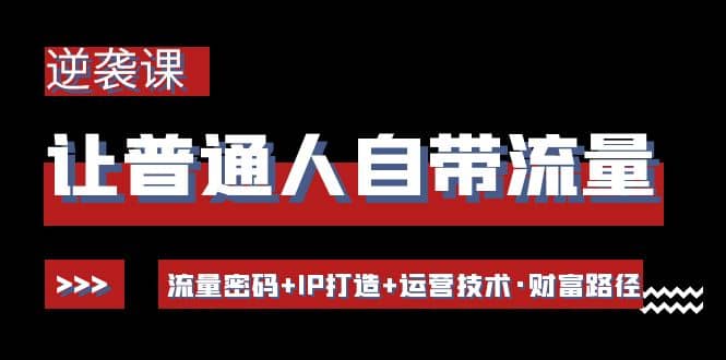 让普通人自带流量的逆袭课：流量密码+IP打造+运营技术·财富路径-小白网创资源网