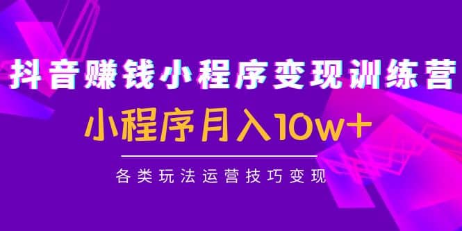 抖音小程序变现训练营：小程序各类玩法运营技巧变现-小白网创资源网