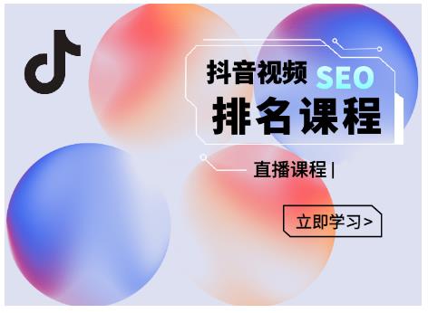 森淼·抖音SEO排名引流变现，教你如何布局抖音SEO获取更多免费流量-小白网创资源网