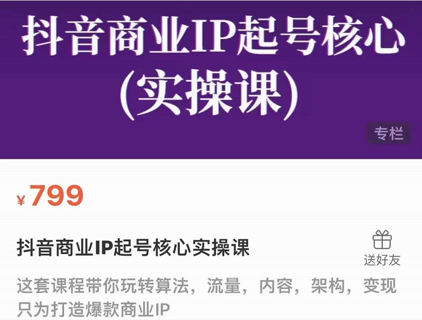 抖音商业IP起号核心实操课，带你玩转算法，流量，内容，架构，变现-小白网创资源网