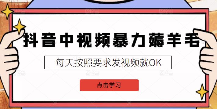2022抖音中视频暴力薅羊毛白嫖项目：新号每天20块，老号几天几百块，可多号-小白网创资源网