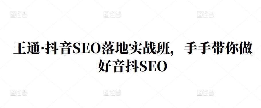 王通·抖音SEO落地实战班，手‬手带你做好音抖‬‬SEO-小白网创资源网