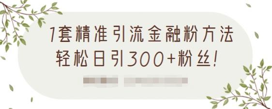 1套精准引流金融粉方法，轻松日引300+粉丝【视频课程】-小白网创资源网