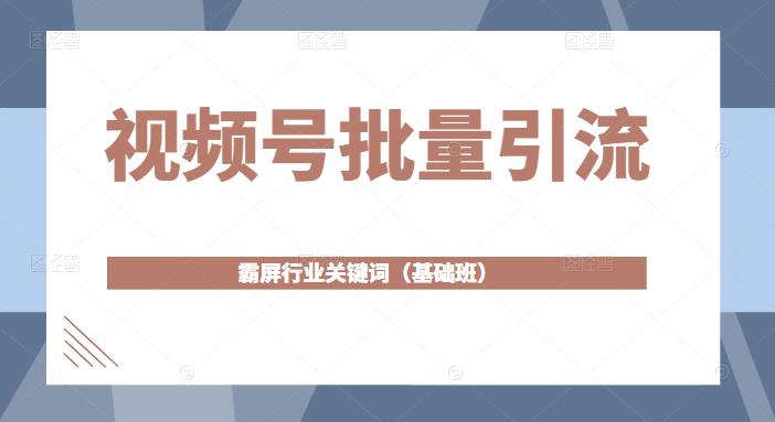 视频号批量引流，霸屏行业关键词（基础班）全面系统讲解视频号玩法【无水印】-小白网创资源网