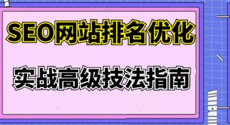 樊天华·SEO网站排名优化实战高级技法指南，让客户找到你-小白网创资源网