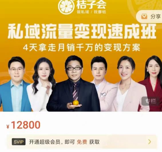 桔子会·私域流量变现速成班，4天拿走月销千万的变现方案 价值12800元-小白网创资源网