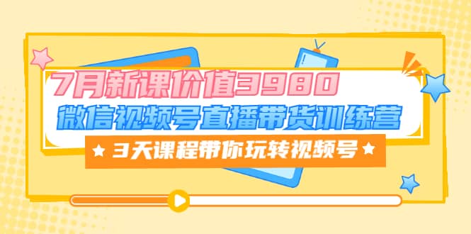 微信视频号直播带货训练营，3天课程带你玩转视频号：7月新课价值3980-小白网创资源网