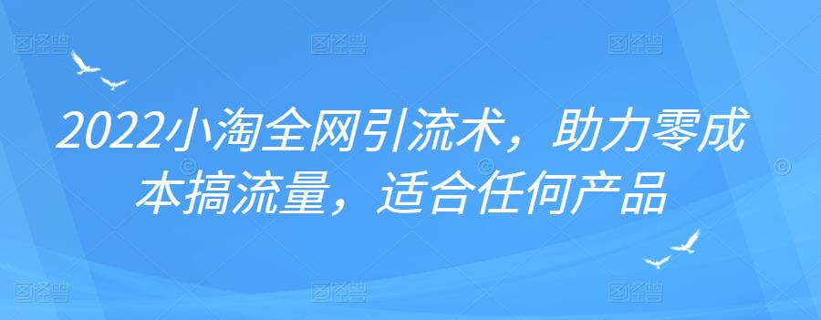 2022年小淘全网引流术，助力零成本搞流量，适合任何产品-小白网创资源网