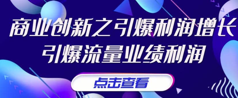 张琦《商业创新之引爆利润增长》引爆流量业绩利润-小白网创资源网