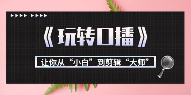 月营业额700万+大佬教您《玩转口播》让你从“小白”到剪辑“大师”-小白网创资源网