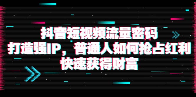抖音短视频流量密码：打造强IP，普通人如何抢占红利，快速获得财富-小白网创资源网