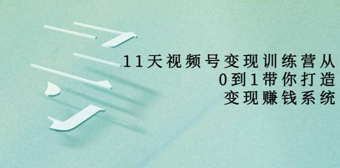 好望角·11天视频号变现训练营，从0到1打造变现赚钱系统（价值398）-小白网创资源网