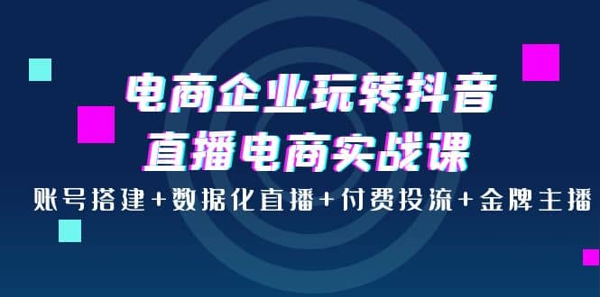 电商企业玩转抖音直播电商实战课：账号搭建+数据化直播+付费投流+金牌主播-小白网创资源网