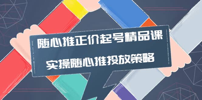 随心推正价起号精品课，实操随心推投放策略（5节课-价值298）-小白网创资源网