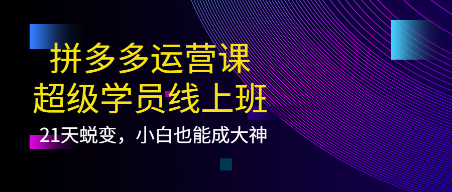 拼多多运营课：超级学员线上班，21天蜕变，小白也能成大神-小白网创资源网