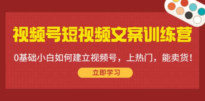 视频号短视频文案训练营：0基础小白如何建立视频号，上热门，能卖货！-小白网创资源网