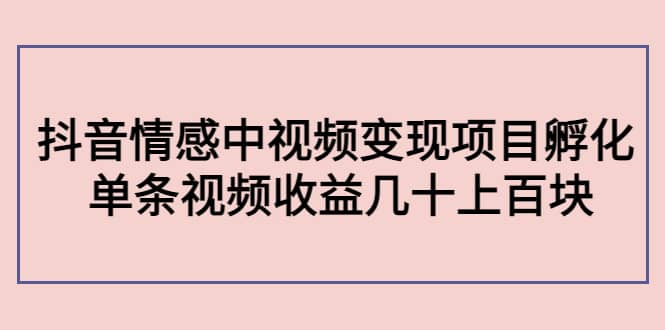抖音情感中视频变现项目孵化-小白网创资源网
