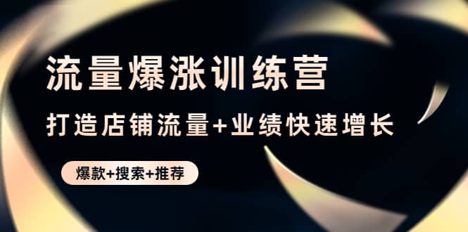 流量爆涨训练营：打造店铺流量+业绩快速增长 (爆款+搜索+推荐)-小白网创资源网