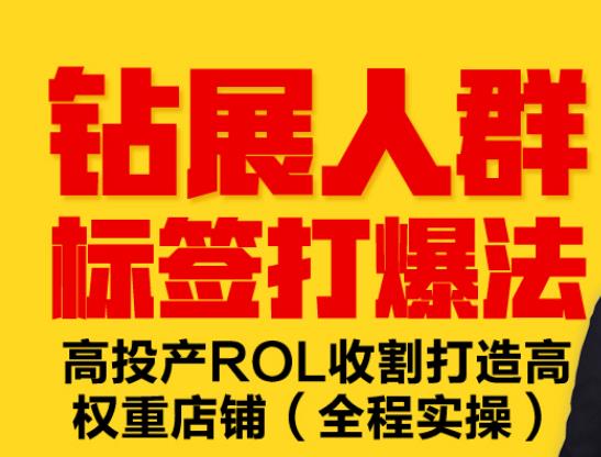 钻展人群标签打爆法，高投产ROL收割打造高权重店铺(全程实操)-小白网创资源网