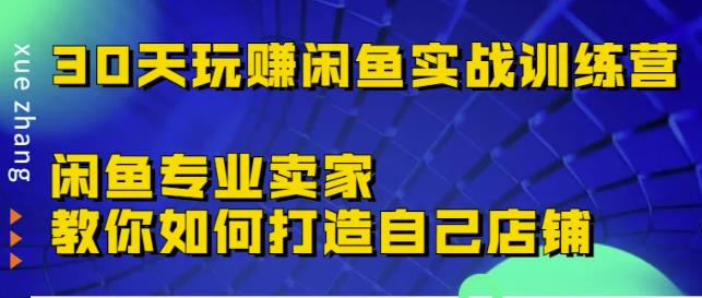 30天玩赚闲鱼实战训练营，闲鱼专业卖家教你如何打造自己店铺-小白网创资源网