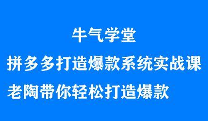 牛气学堂拼多多打造爆款系统实战课，老陶带你轻松打造爆款-小白网创资源网