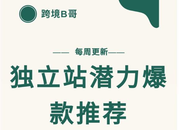 【跨境B哥】独立站潜力爆款选品推荐，测款出单率高达百分之80（每周更新）-小白网创资源网