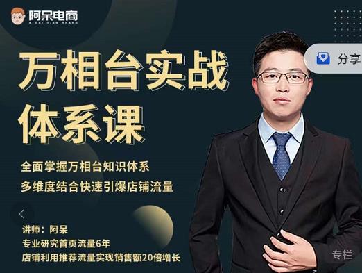 阿呆-万相台实战体系课，帮您全面掌握万相台知识体系-小白网创资源网