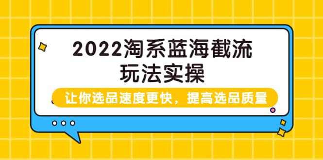 2022淘系蓝海截流玩法实操：让你选品速度更快，提高选品质量（价值599）-小白网创资源网