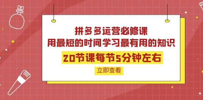 拼多多运营必修课：20节课每节5分钟左右，用最短的时间学习最有用的知识-小白网创资源网