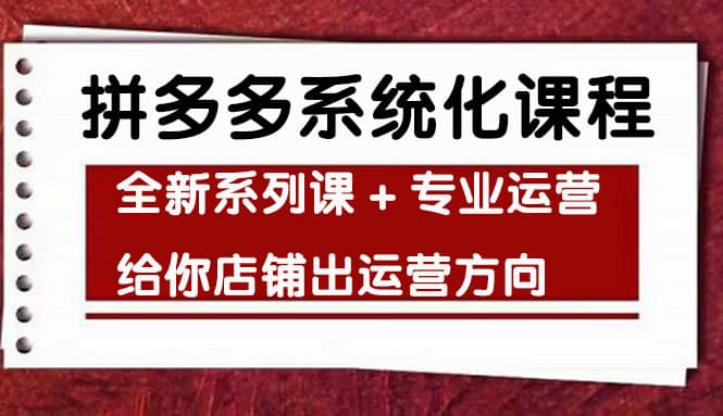 车神陪跑，拼多多系统化课程，全新系列课+专业运营给你店铺出运营方向-小白网创资源网