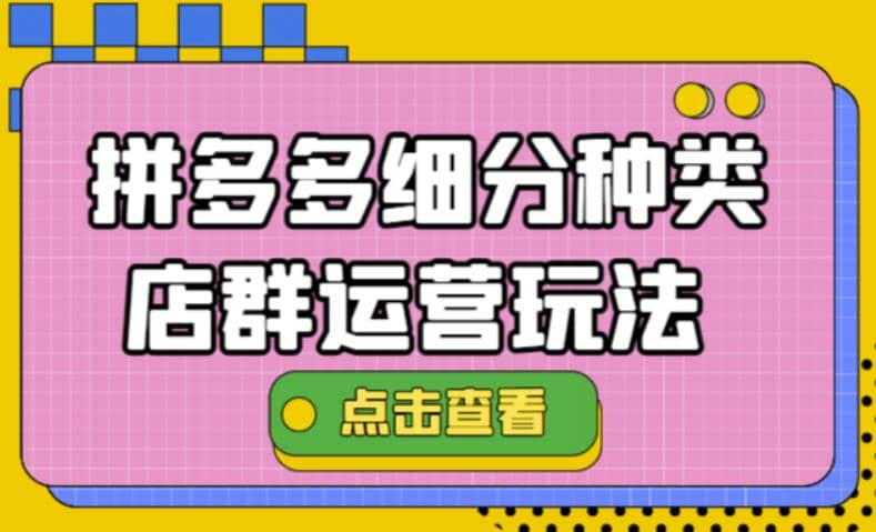 拼多多细分种类店群运营玩法3.0，11月最新玩法，小白也可以操作-小白网创资源网