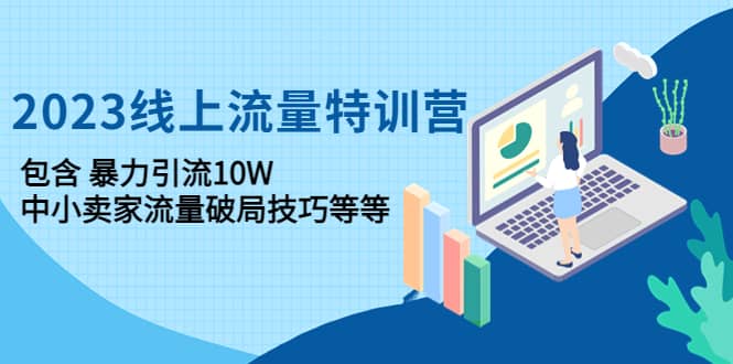 2023线上流量特训营：中小卖家流量破局技巧等等-小白网创资源网