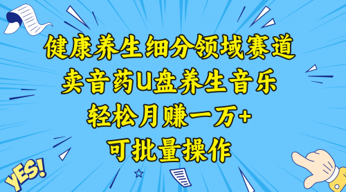 健康养生细分领域赛道，卖音药U盘养生音乐，轻松月赚一万+，可批量操作-小白网创资源网