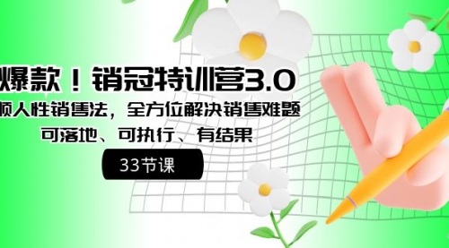 销冠特训营3.0之顺人性销售法，全方位解决销售难题、可落地-小白网创资源网