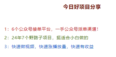 24年7个野路子项目，专给小白准备的-小白网创资源网