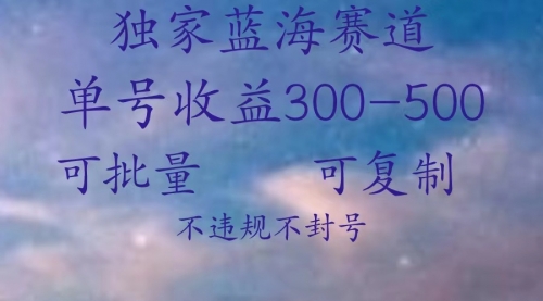 你看不起的冷门小项目 日入过千是基本-小白网创资源网
