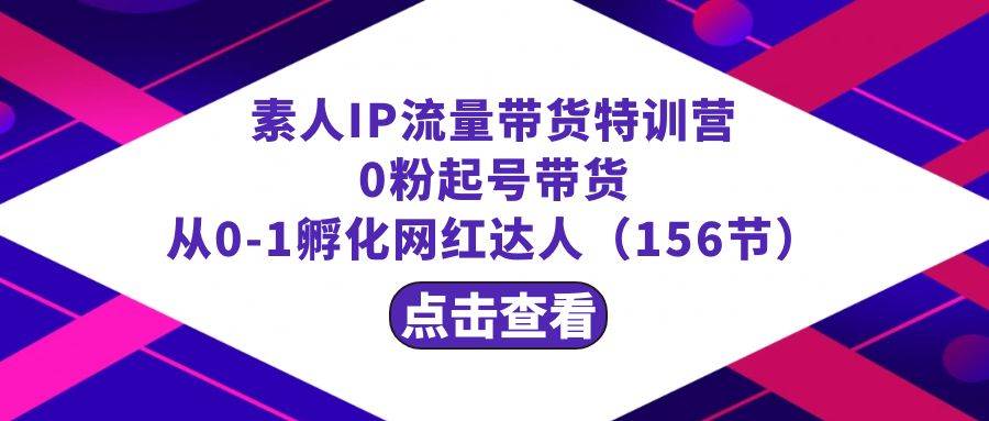 繁星·计划素人IP流量带货特训营：0粉起号带货 从0-1孵化网红达人（156节）-小白网创资源网