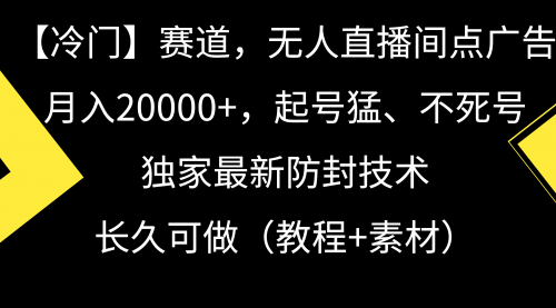 【冷门】赛道，无人直播间点广告，月入20000+-小白网创资源网