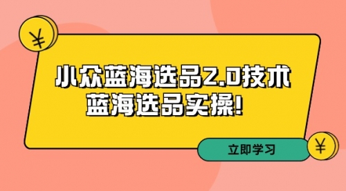 拼多多培训第33期：小众蓝海选品2.0技术-蓝海选品实操！-小白网创资源网