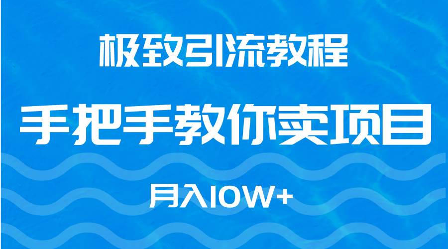 极致引流教程，手把手教你卖项目，一个月10W+-小白网创资源网