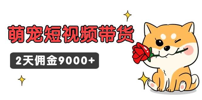 东哲日记·萌宠短视频带货，2天佣金9000+-小白网创资源网