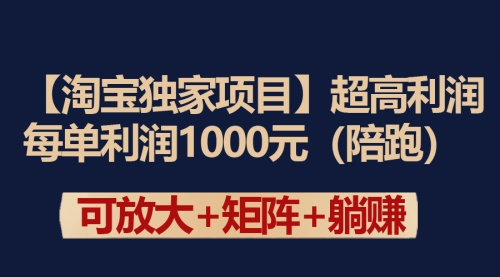 淘宝独家项目超高利润：每单利润1000元-小白网创资源网