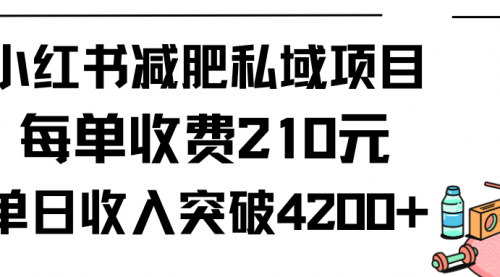小红书减肥私域项目每单收费210元单日成交20单，最高日入4200+-小白网创资源网