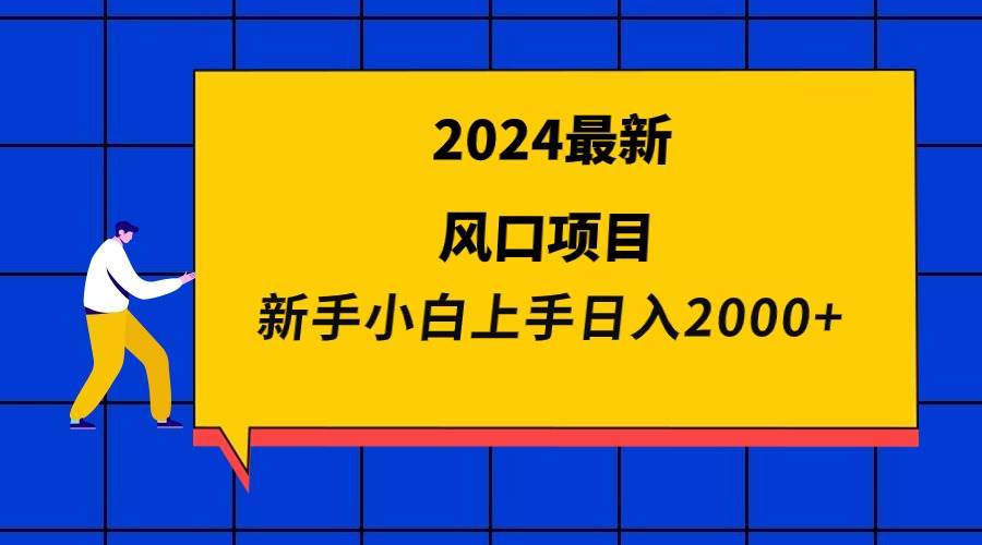 2024最新风口项目 新手小白一天2000+-小白网创资源网